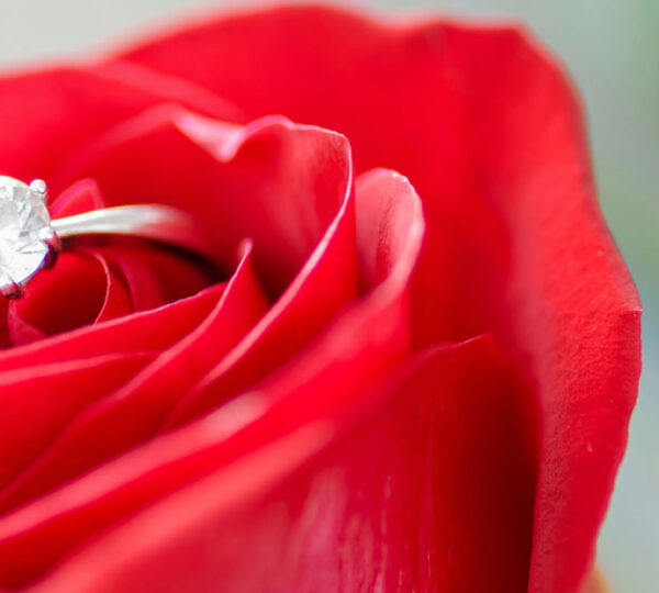 bague parfaite pour une demande en mariage